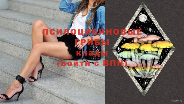 дживик Гусиноозёрск