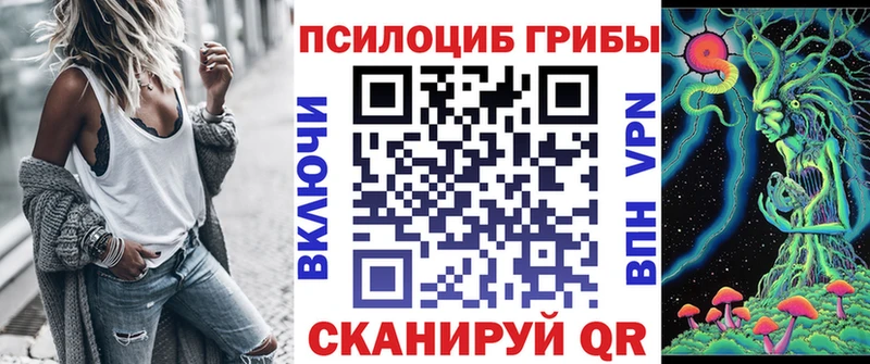 Купить закладки  Грозный  Галлюциногенные грибы GOLDEN TEACHER 